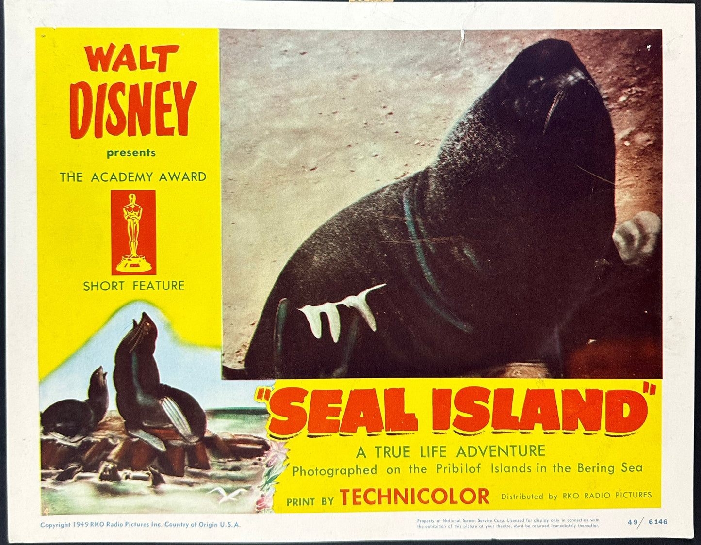 Walt Disney's Seal Island US Complete Lobby Card Set (R 1949) - posterpalace.com