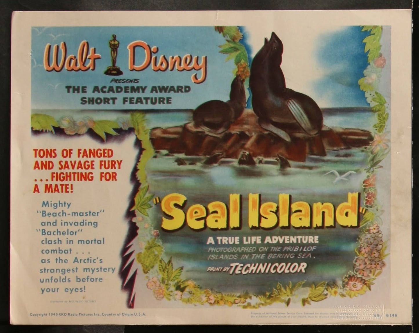 Walt Disney's Seal Island US Complete Lobby Card Set (R 1949) - posterpalace.com