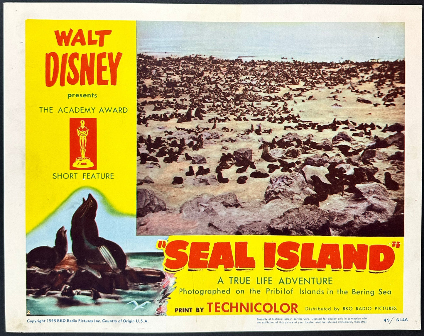 Walt Disney's Seal Island US Complete Lobby Card Set (R 1949) - posterpalace.com