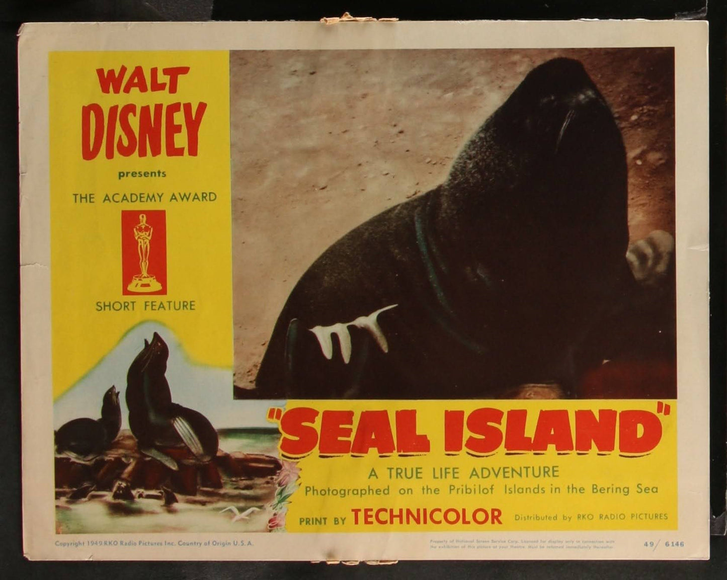 Walt Disney's Seal Island US Complete Lobby Card Set (R 1949) - posterpalace.com