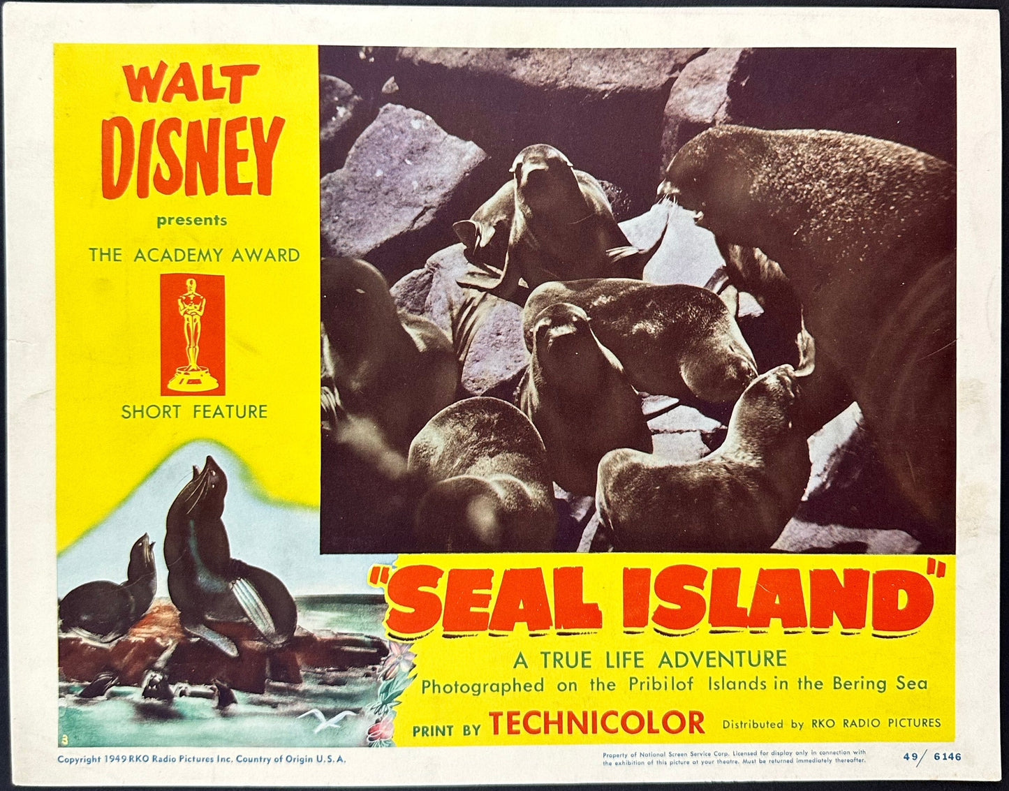 Walt Disney's Seal Island US Complete Lobby Card Set (R 1949) - posterpalace.com