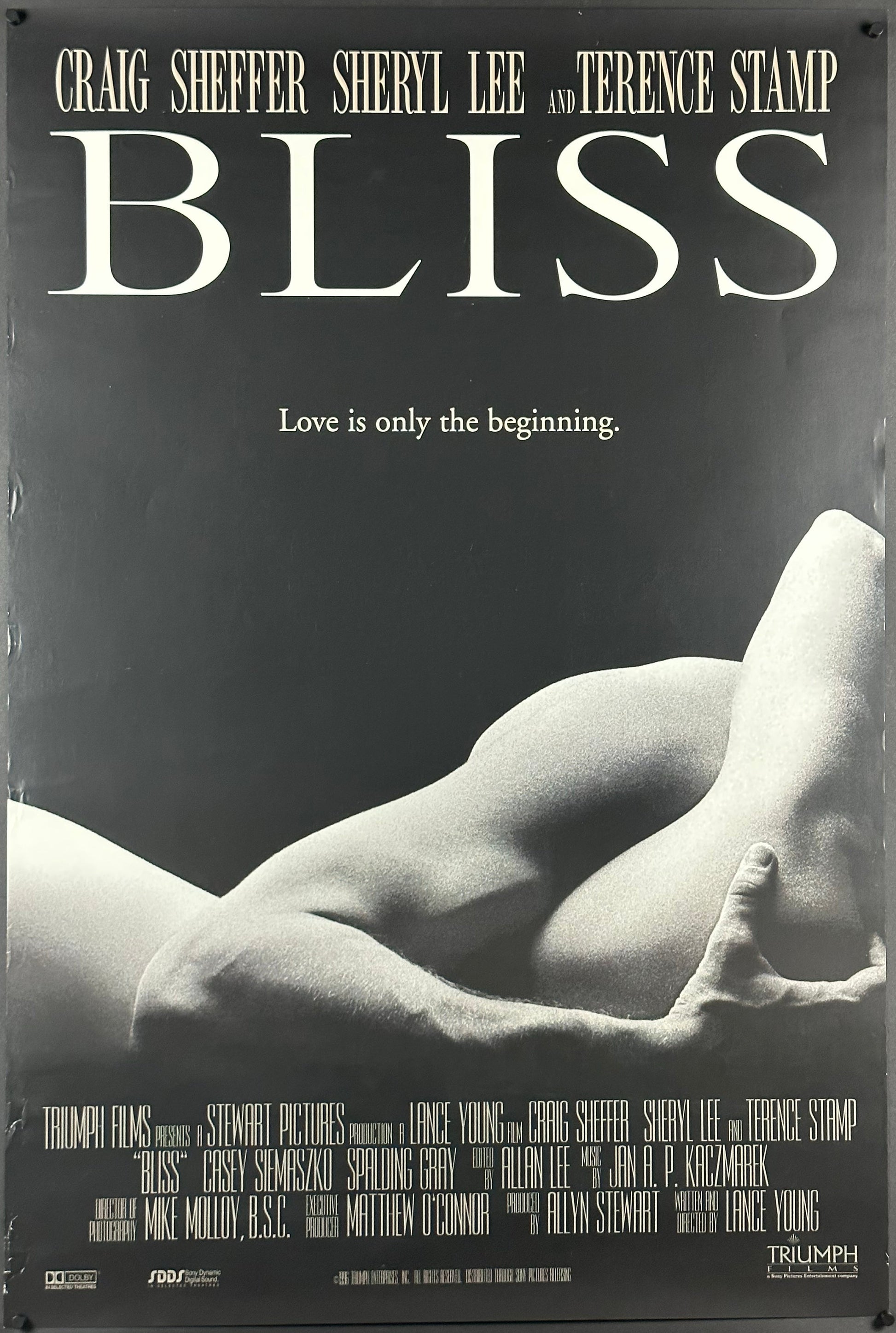 Bliss US One Sheet (2021) - ORIGINAL RELEASE - posterpalace.com