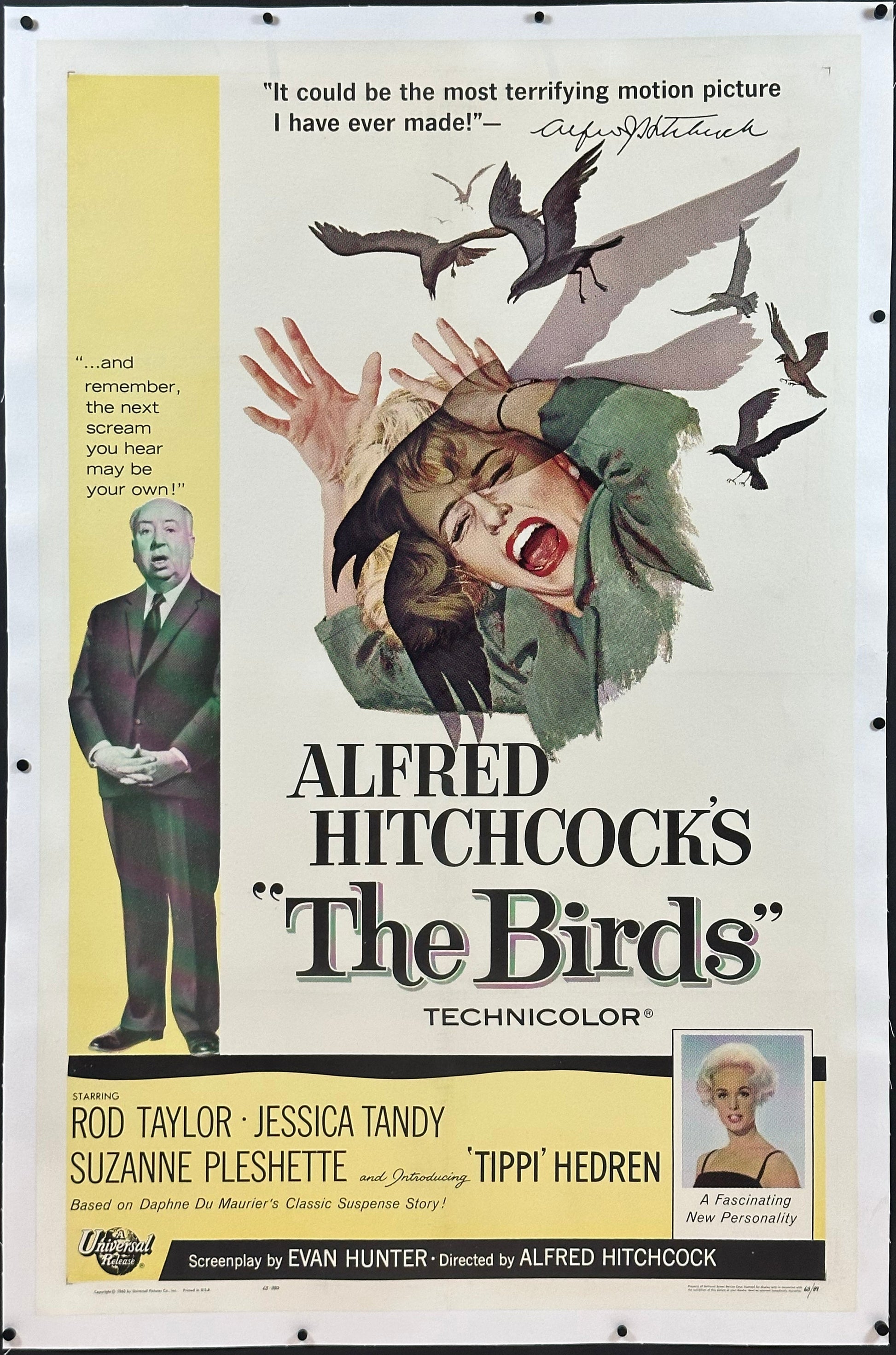 The Birds US One Sheet (1963) - ORIGINAL RELEASE - posterpalace.com