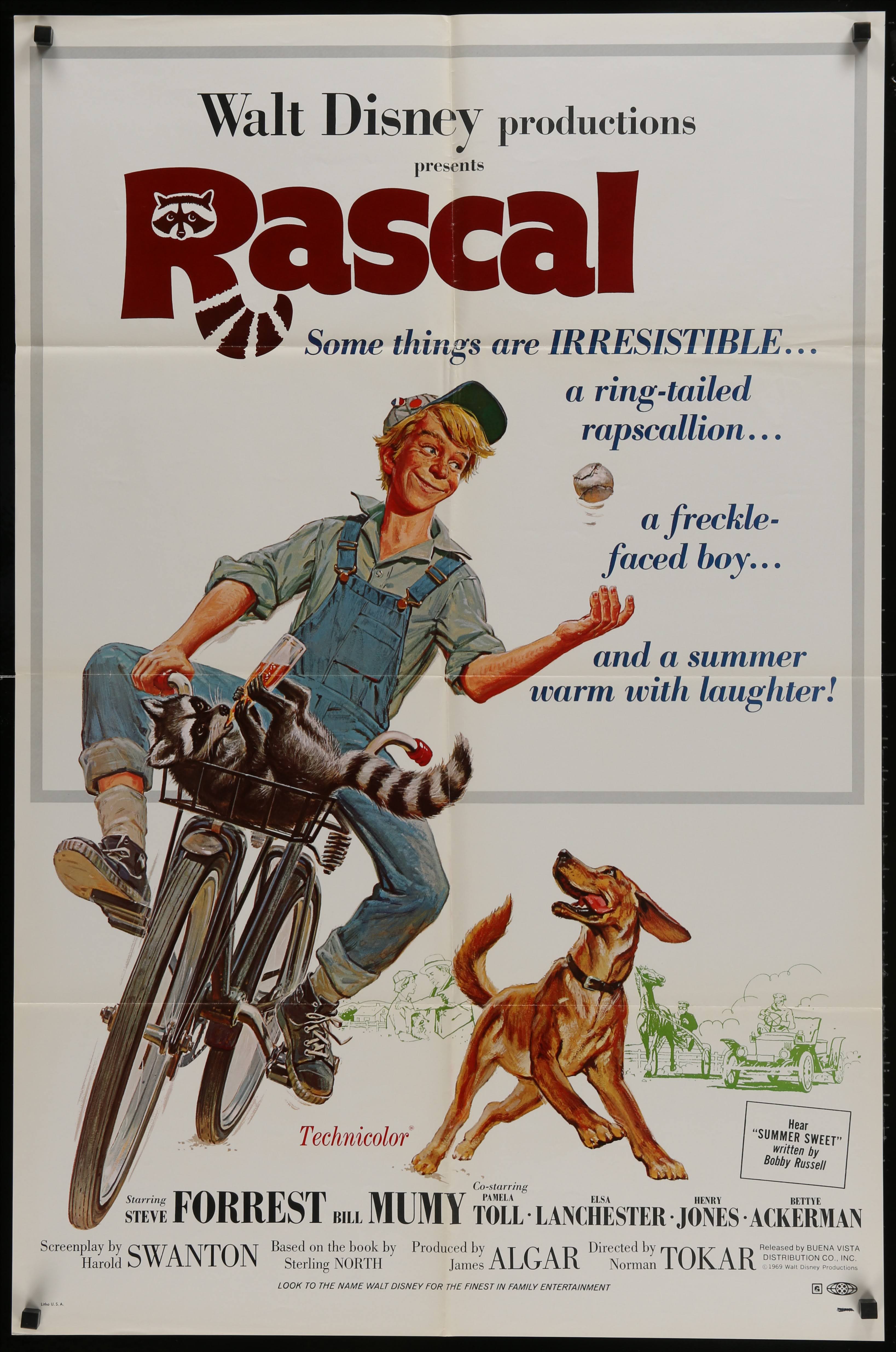 Walt Disney's Rascal Vintage US One Sheet (1969) - ORIGINAL RELEASE ...