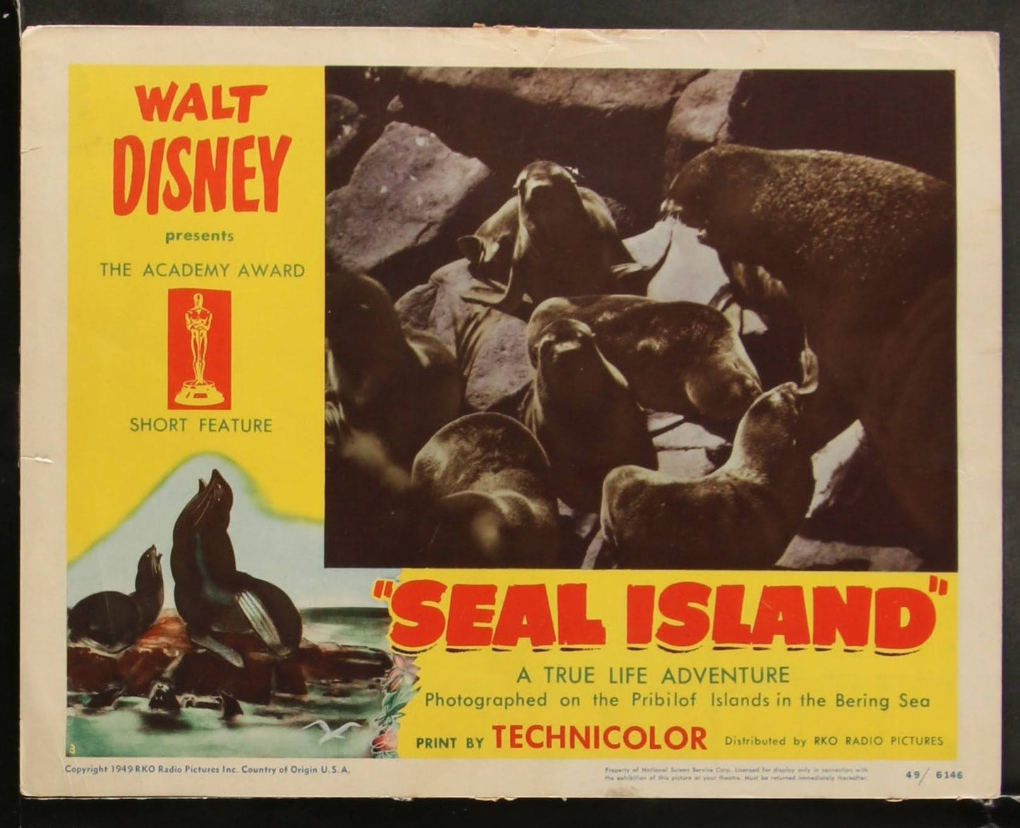 Walt Disney's Seal Island US Complete Lobby Card Set (R 1949) - posterpalace.com