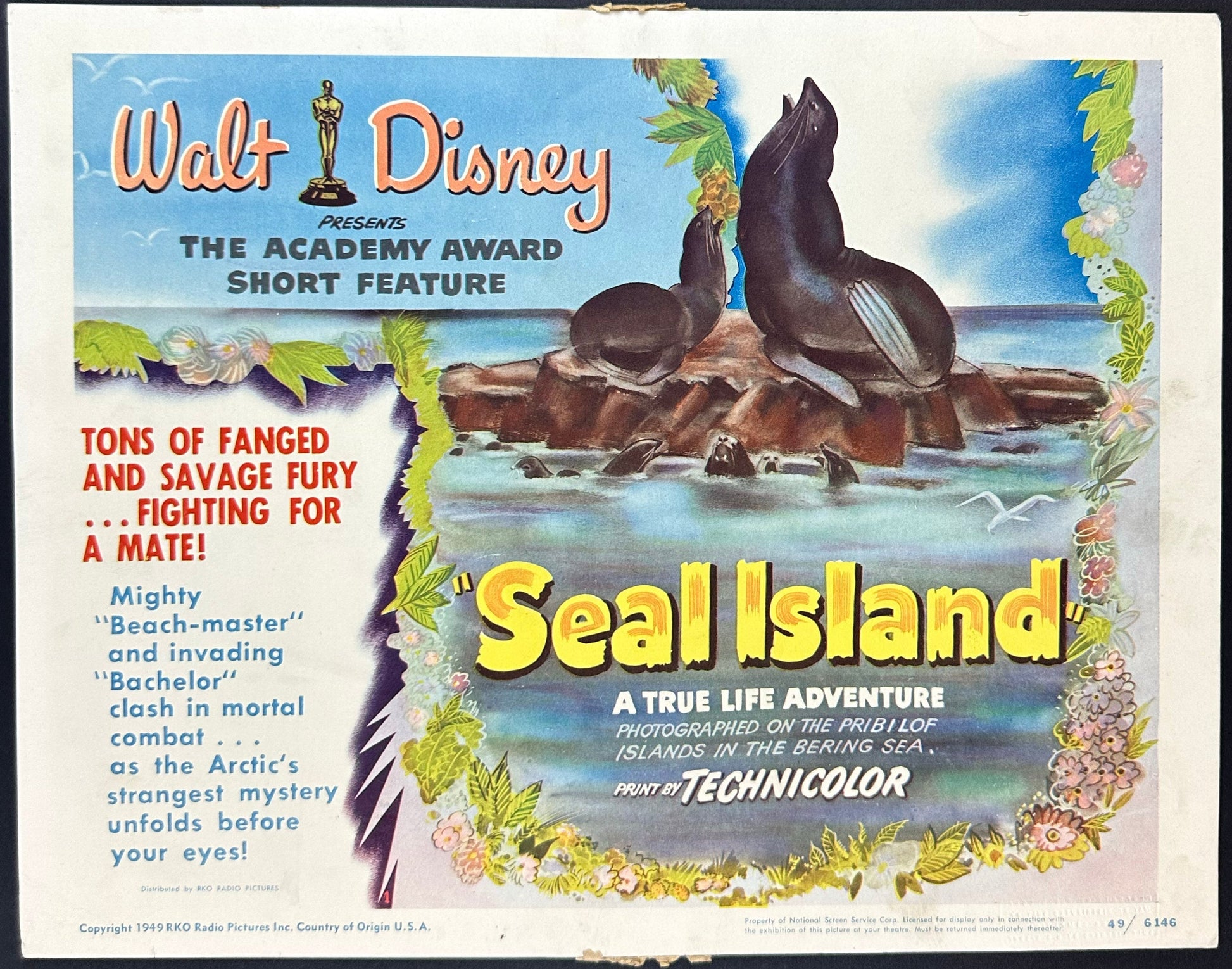 Walt Disney's Seal Island US Complete Lobby Card Set (R 1949) - posterpalace.com
