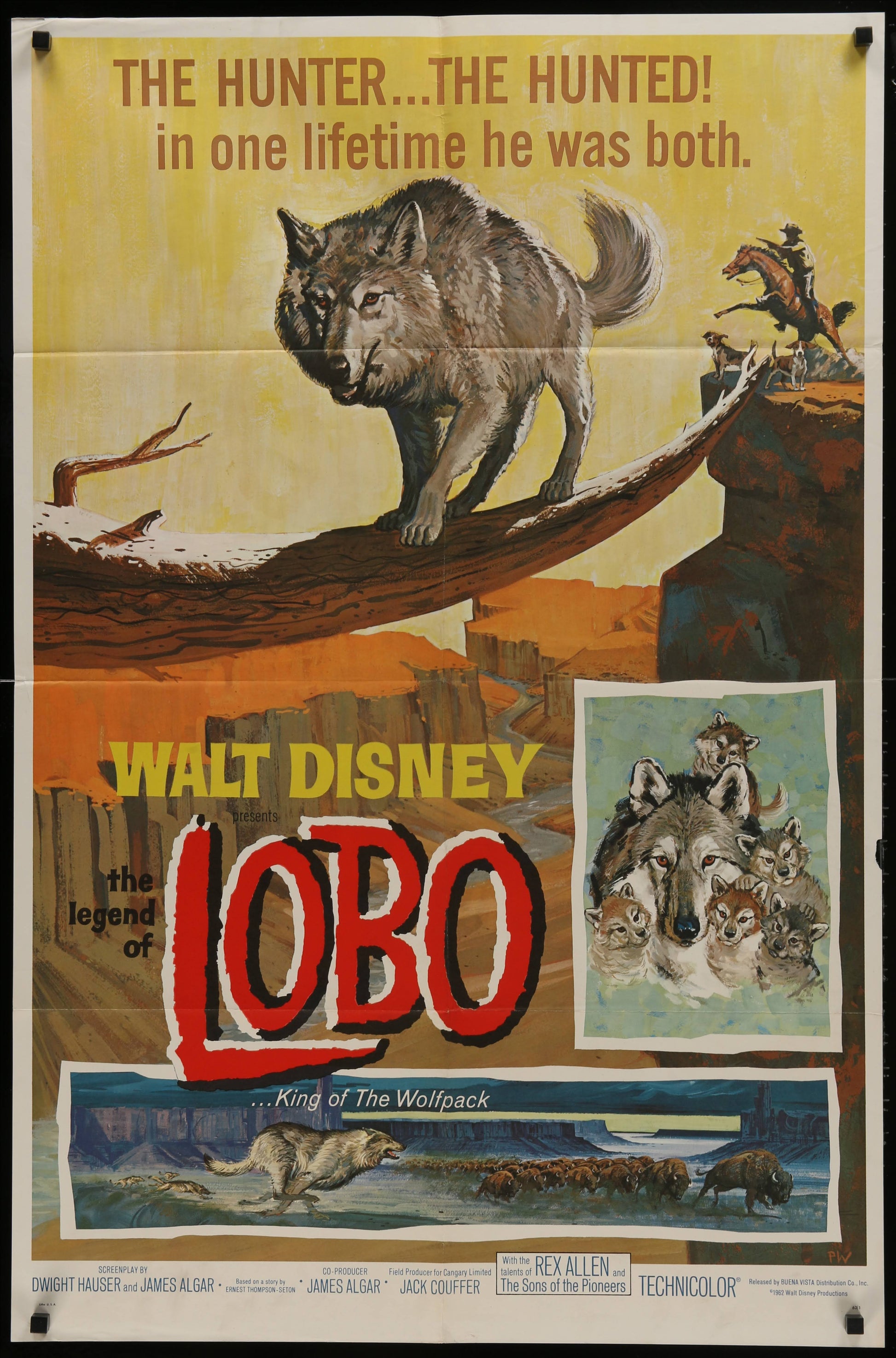Walt Disney's The Legend Of Lobo US One Sheet (R 1963) - posterpalace.com