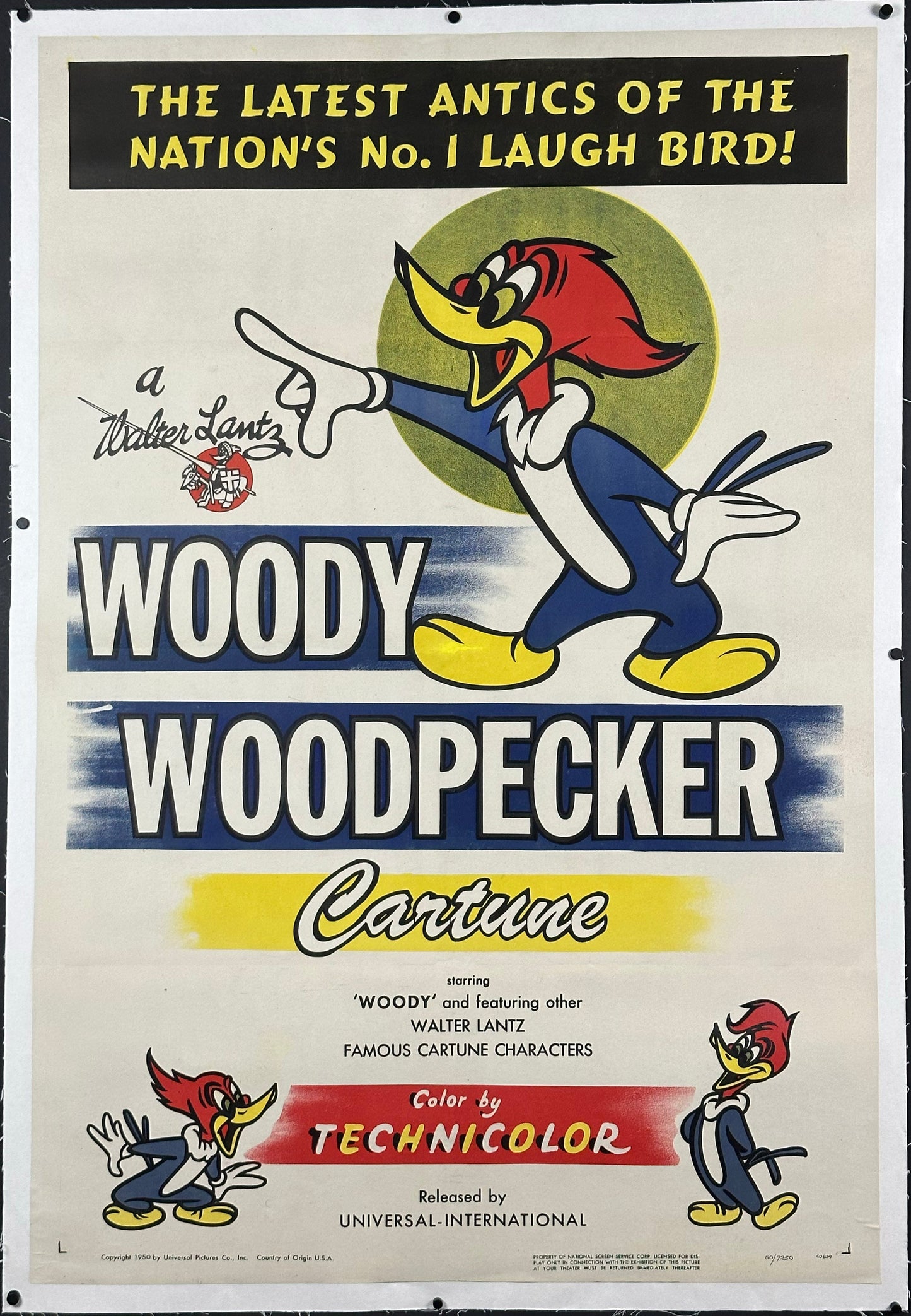 Woody Woodpecker Cartune US One Sheet (R 1950) - posterpalace.com